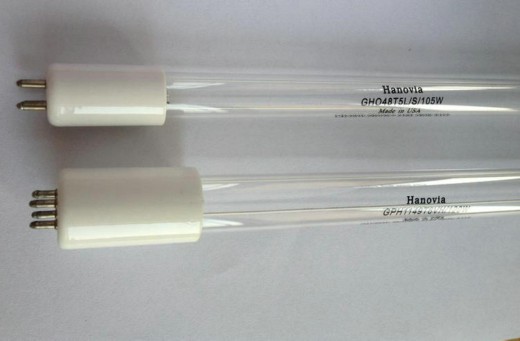 wonder、kadind、hanovia